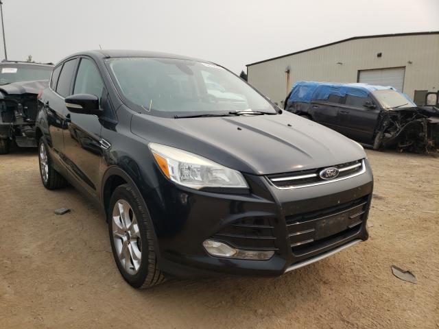 FORD ESCAPE SEL 2013 1fmcu9h93duc56555