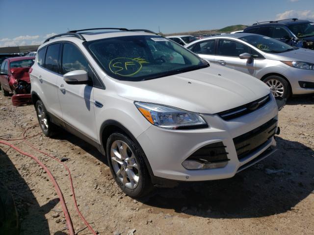 FORD ESCAPE SEL 2013 1fmcu9h94dua59152