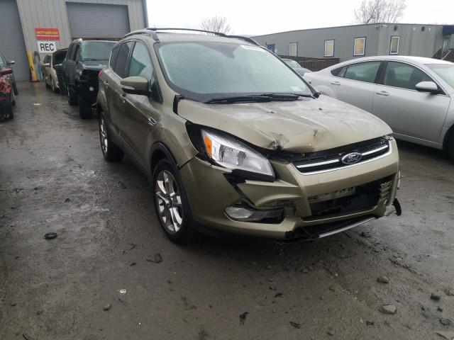 FORD ESCAPE SEL 2013 1fmcu9h94dub59025