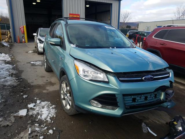 FORD ESCAPE SEL 2013 1fmcu9h94duc18834