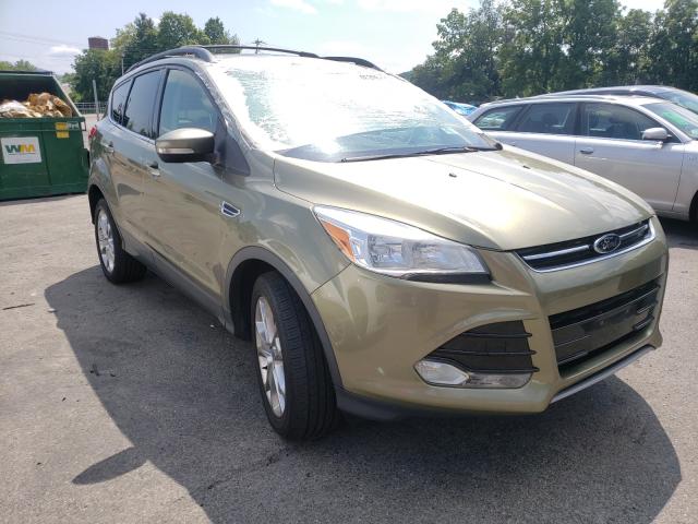 FORD ESCAPE SEL 2013 1fmcu9h94duc18848