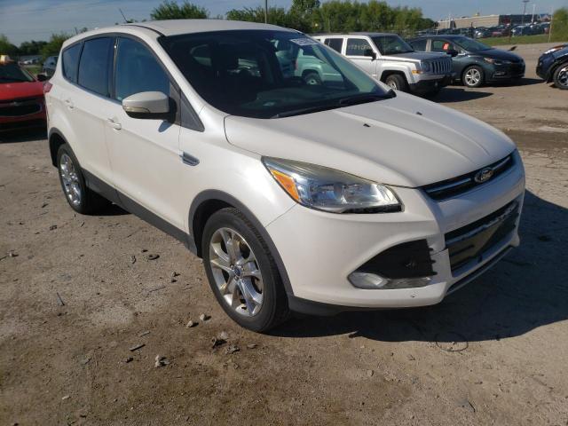 FORD ESCAPE SEL 2013 1fmcu9h94dud51593