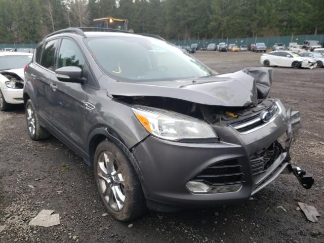 FORD ESCAPE SEL 2013 1fmcu9h94dud86618