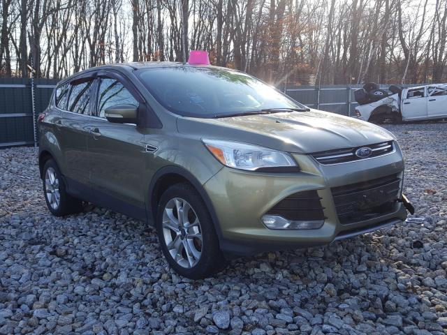 FORD ESCAPE SEL 2013 1fmcu9h95dua53635