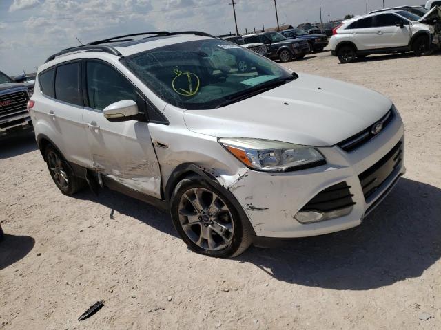 FORD ESCAPE SEL 2013 1fmcu9h95dua99496