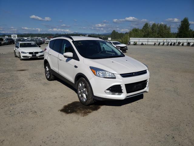 FORD ESCAPE SEL 2013 1fmcu9h95dub56070