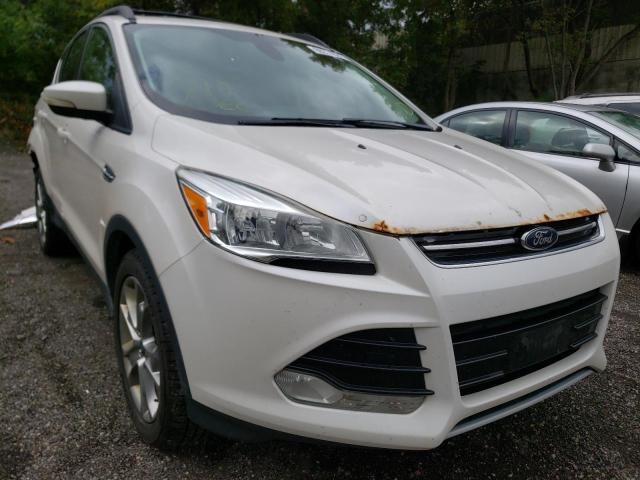 FORD ESCAPE SEL 2013 1fmcu9h95dub57574