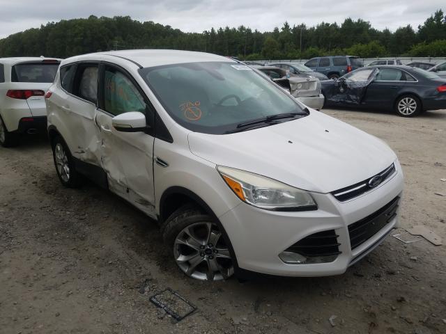 FORD ESCAPE SEL 2013 1fmcu9h95duc04148