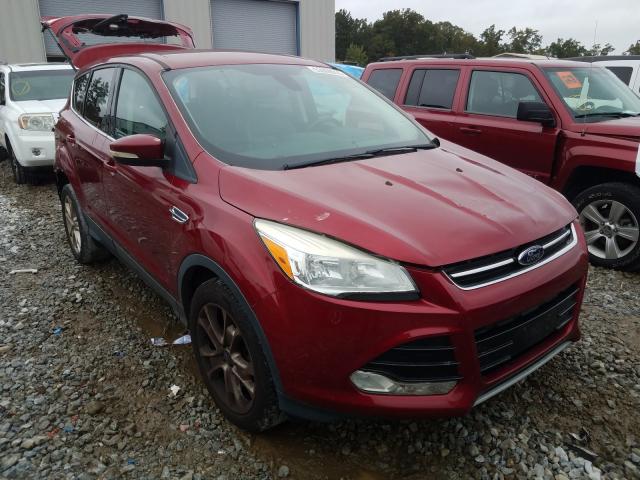 FORD ESCAPE SEL 2013 1fmcu9h95duc26196