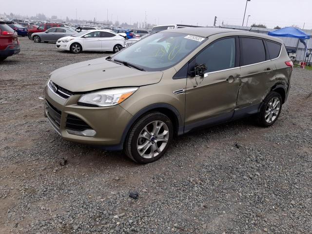 FORD ESCAPE SEL 2013 1fmcu9h96duc04255