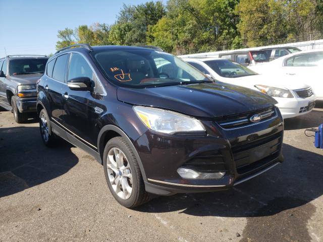 FORD ESCAPE SEL 2013 1fmcu9h96duc10329