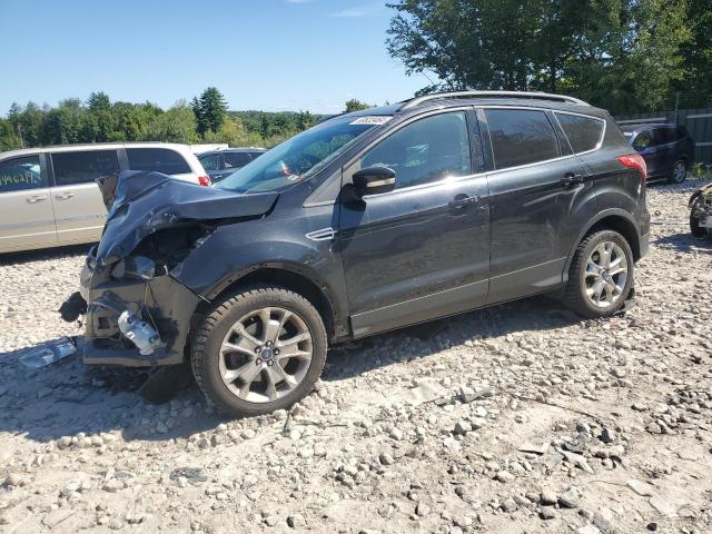 FORD ESCAPE SEL 2013 1fmcu9h96duc18642