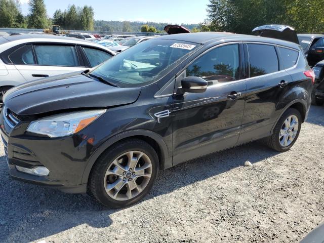 FORD ESCAPE SEL 2013 1fmcu9h97dua48811