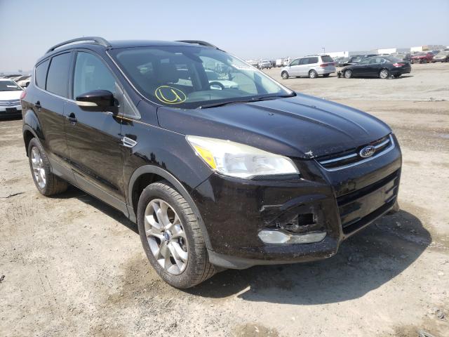 FORD ESCAPE SEL 2013 1fmcu9h97dub28108