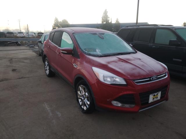 FORD ESCAPE SEL 2013 1fmcu9h97duc10582