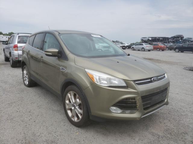 FORD ESCAPE SEL 2013 1fmcu9h97duc40715