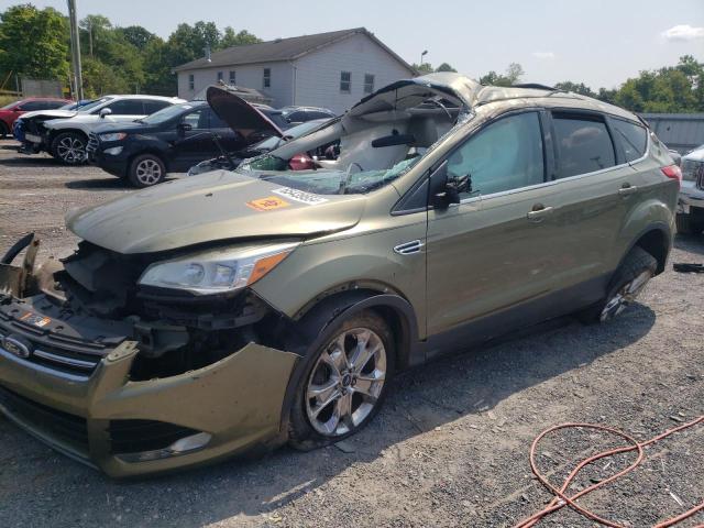 FORD ESCAPE SEL 2013 1fmcu9h97duc75948