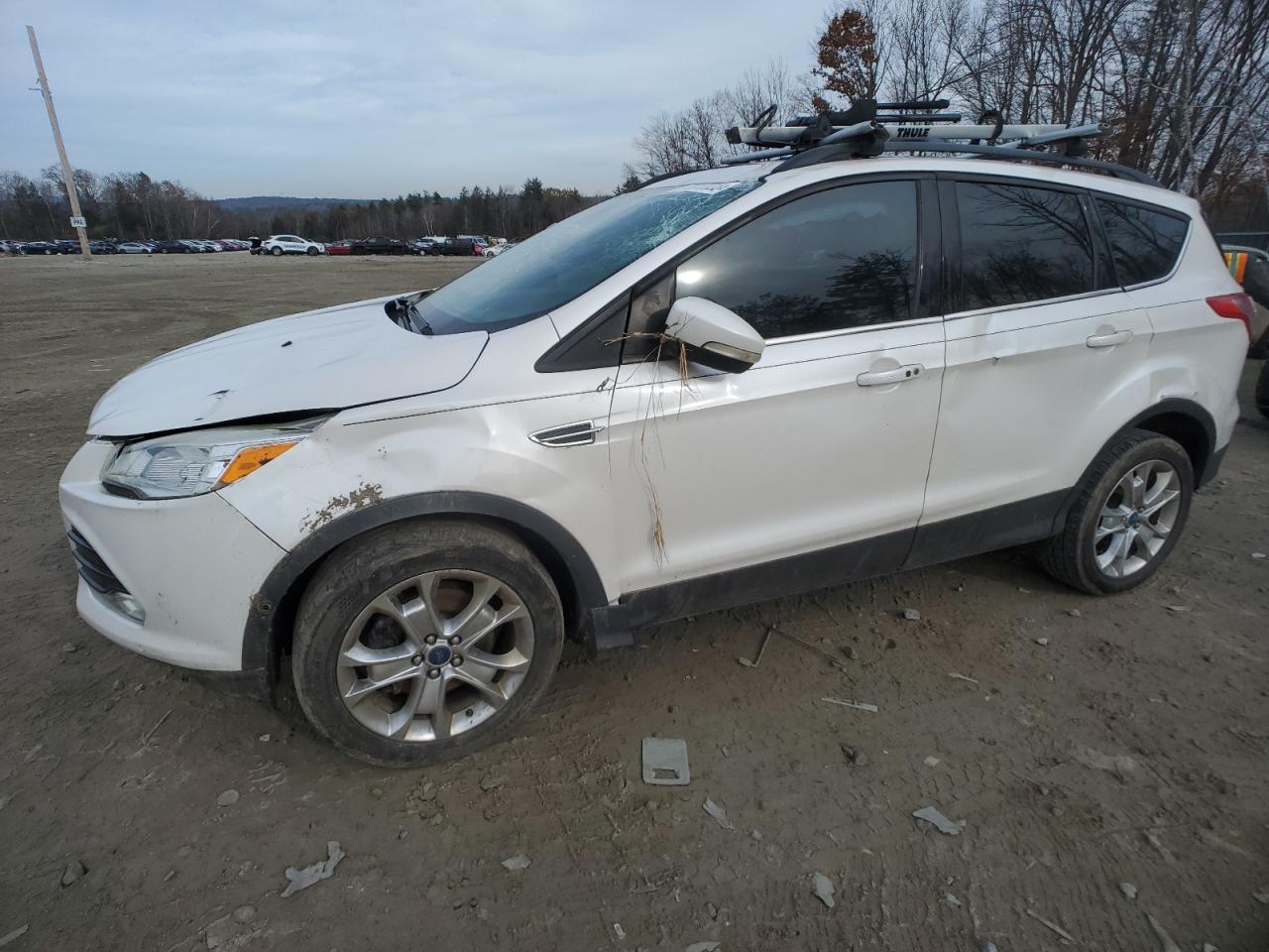 FORD ESCAPE 2013 1fmcu9h97duc93964