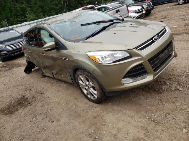 FORD ESCAPE SEL 2013 1fmcu9h98dua26199