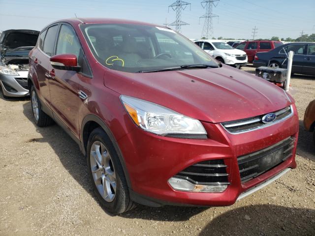 FORD ESCAPE SEL 2013 1fmcu9h98dud88291