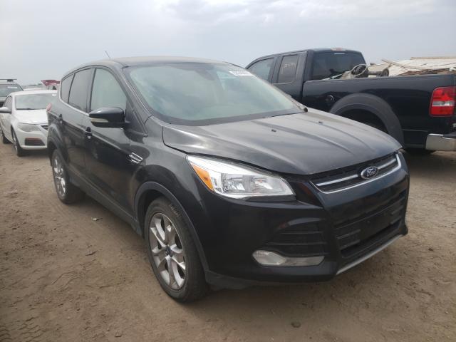 FORD ESCAPE SEL 2013 1fmcu9h99dua10299