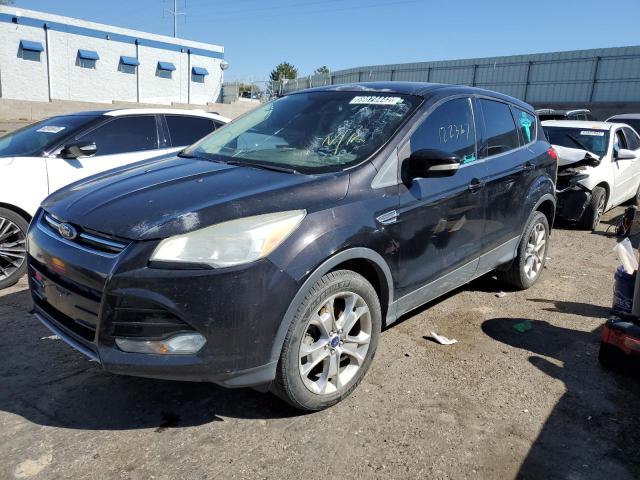 FORD ESCAPE SEL 2013 1fmcu9h99dub97687