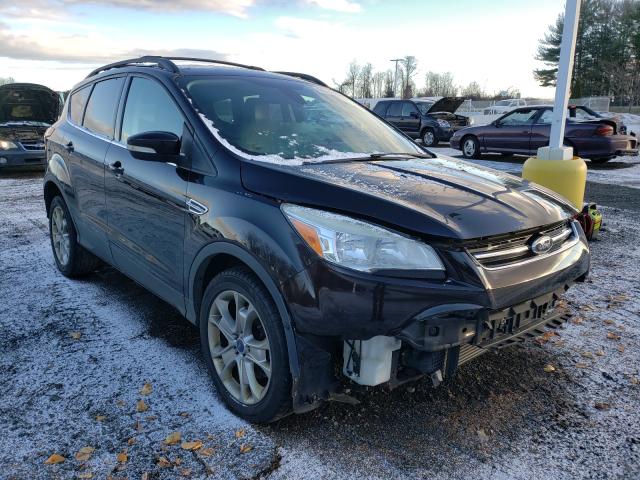 FORD ESCAPE SEL 2013 1fmcu9h9xdub88674