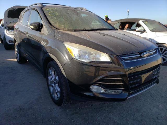 FORD ESCAPE SEL 2013 1fmcu9h9xdud31073