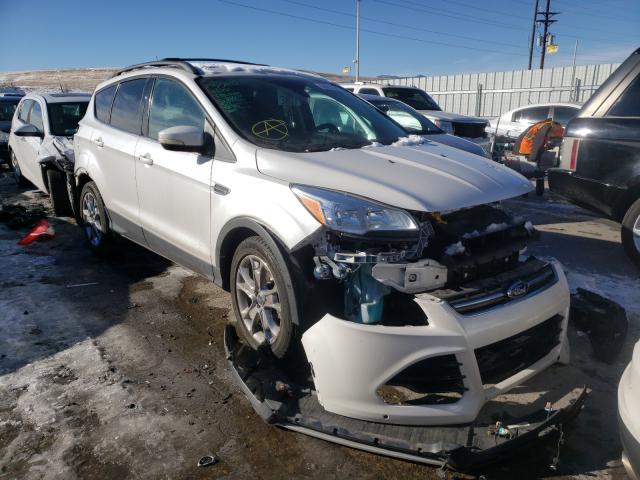 FORD ESCAPE SEL 2013 1fmcu9h9xdud39707