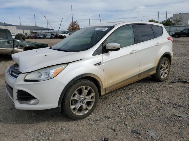 FORD ESCAPE SEL 2013 1fmcu9hx0dub54290