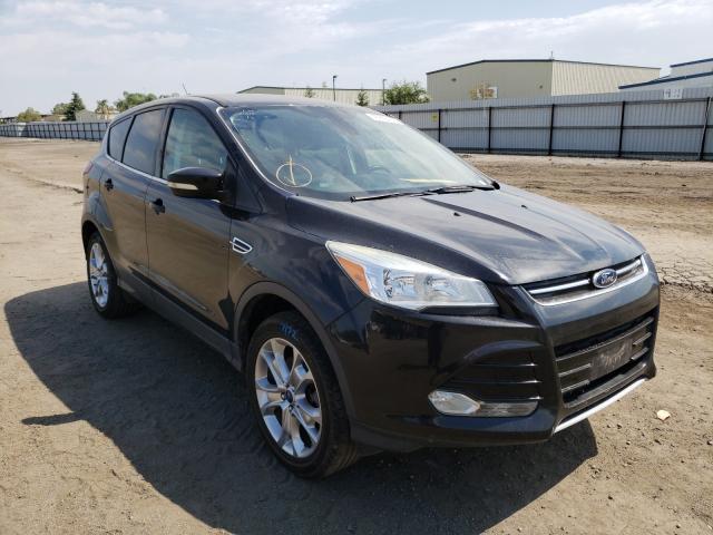 FORD ESCAPE SEL 2013 1fmcu9hx0dud87280