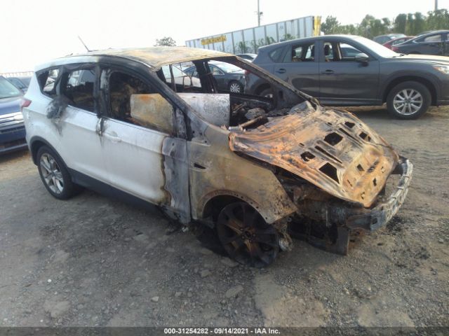 FORD ESCAPE 2013 1fmcu9hx2dub76811