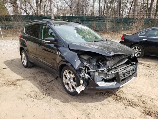 FORD ESCAPE SEL 2013 1fmcu9hx2dub96489