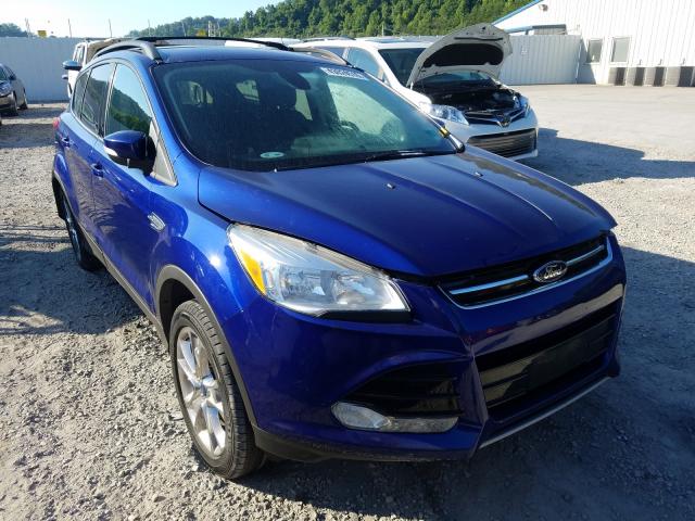 FORD ESCAPE SEL 2013 1fmcu9hx2duc22217