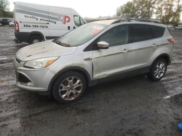 FORD ESCAPE SEL 2013 1fmcu9hx2duc22685