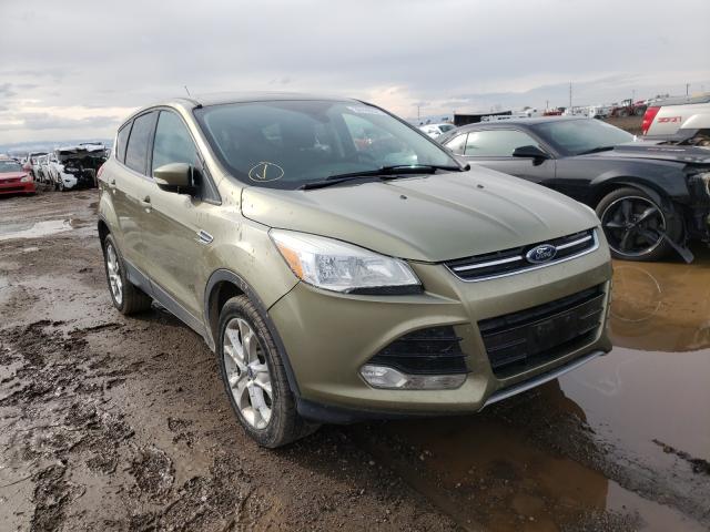 FORD ESCAPE SEL 2013 1fmcu9hx3dud69288