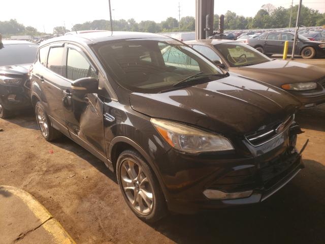 FORD ESCAPE SEL 2013 1fmcu9hx4dua95342