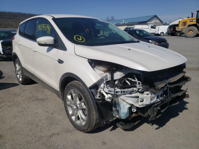 FORD ESCAPE SEL 2013 1fmcu9hx4duc58636