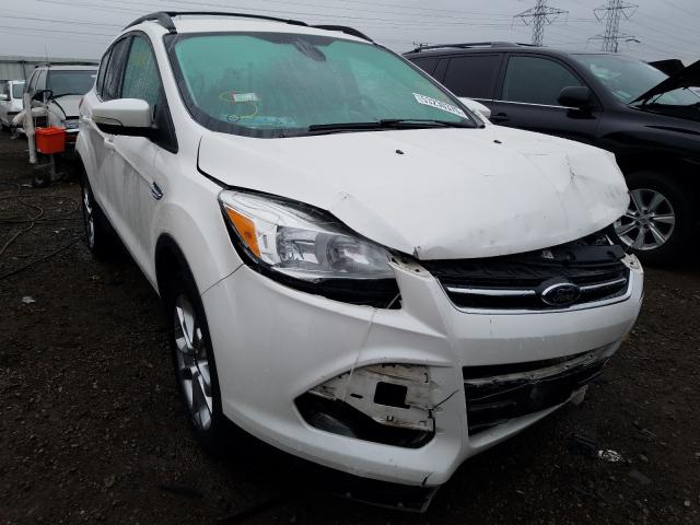 FORD ESCAPE SEL 2013 1fmcu9hx5duc10269