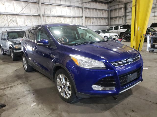 FORD ESCAPE SEL 2013 1fmcu9hxxdud55338