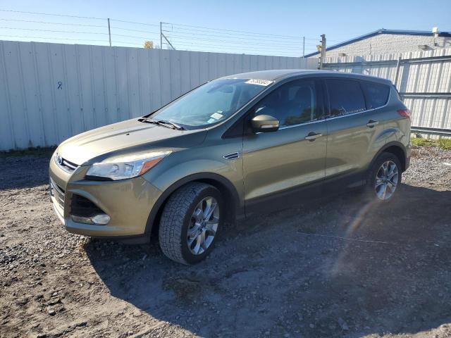 FORD ESCAPE SEL 2013 1fmcu9hxxdud84385