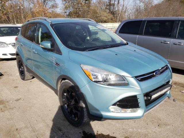 FORD ESCAPE TIT 2013 1fmcu9j90dub13833