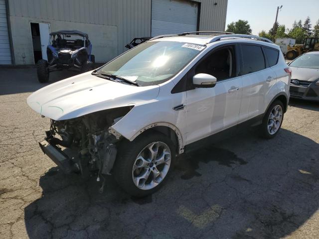 FORD ESCAPE TIT 2013 1fmcu9j90dud10808