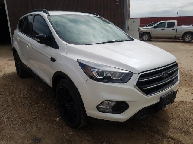 FORD ESCAPE TIT 2017 1fmcu9j90huc78805