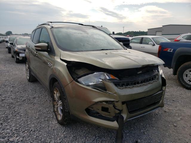 FORD ESCAPE TIT 2014 1fmcu9j91eua26444