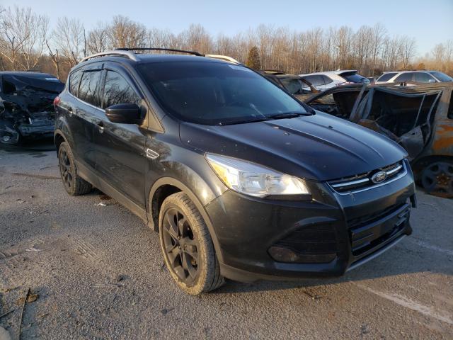 FORD ESCAPE TIT 2014 1fmcu9j91eub36541