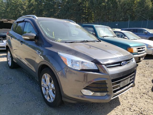 FORD ESCAPE TIT 2016 1fmcu9j91gua12594