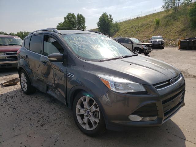 FORD ESCAPE TIT 2016 1fmcu9j91gua14006