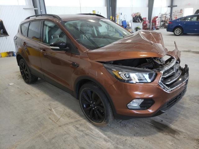 FORD NULL 2017 1fmcu9j91hub62366