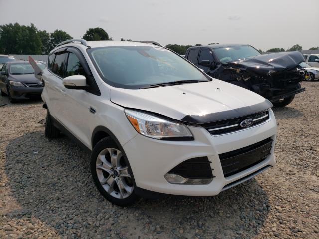 FORD ESCAPE TIT 2014 1fmcu9j92eua64491